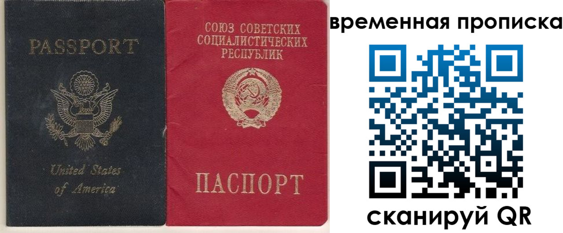 прописка для школы в Свободном
